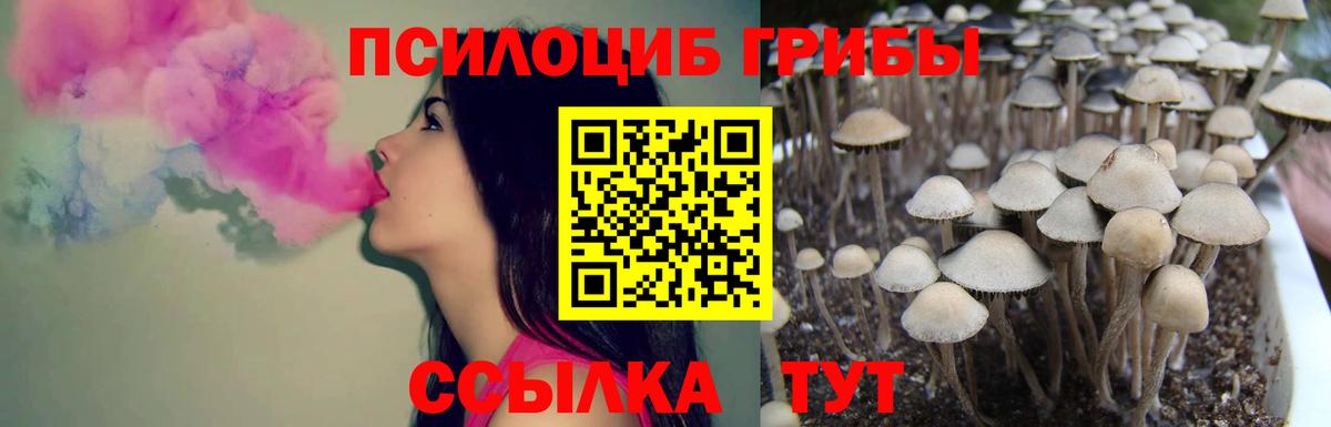 что такое наркотик  Вход с VPN  Псилоцибиновые грибы прущие грибы  Усть-Джегута  Галлюциногенные грибы Cubensis 